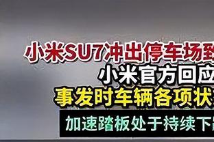 恭喜！斯洛伐克4-2战胜冰岛 提前一轮&连续第3次晋级欧洲杯正赛